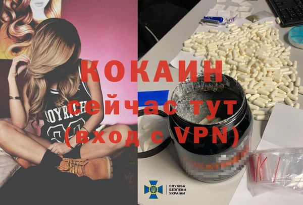 дмт Горняк