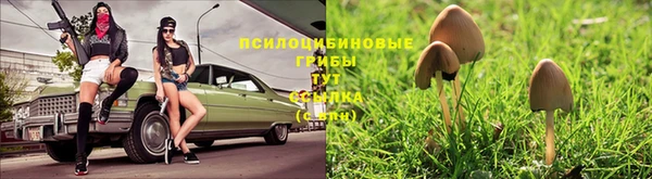COCAINE Горно-Алтайск